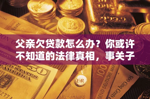 济南父亲欠贷款怎么办？你或许不知道的法律真相，事关子女未来