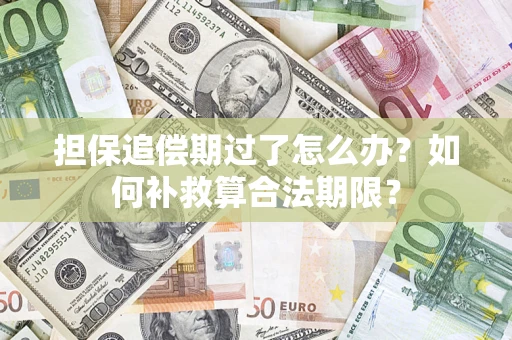 济南担保追偿期过了怎么办？如何补救算合法期限？
