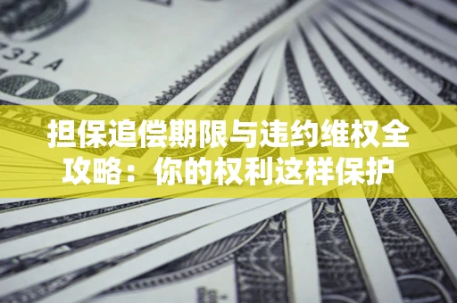 济南担保追偿期限与违约维权全攻略：你的权利这样保护